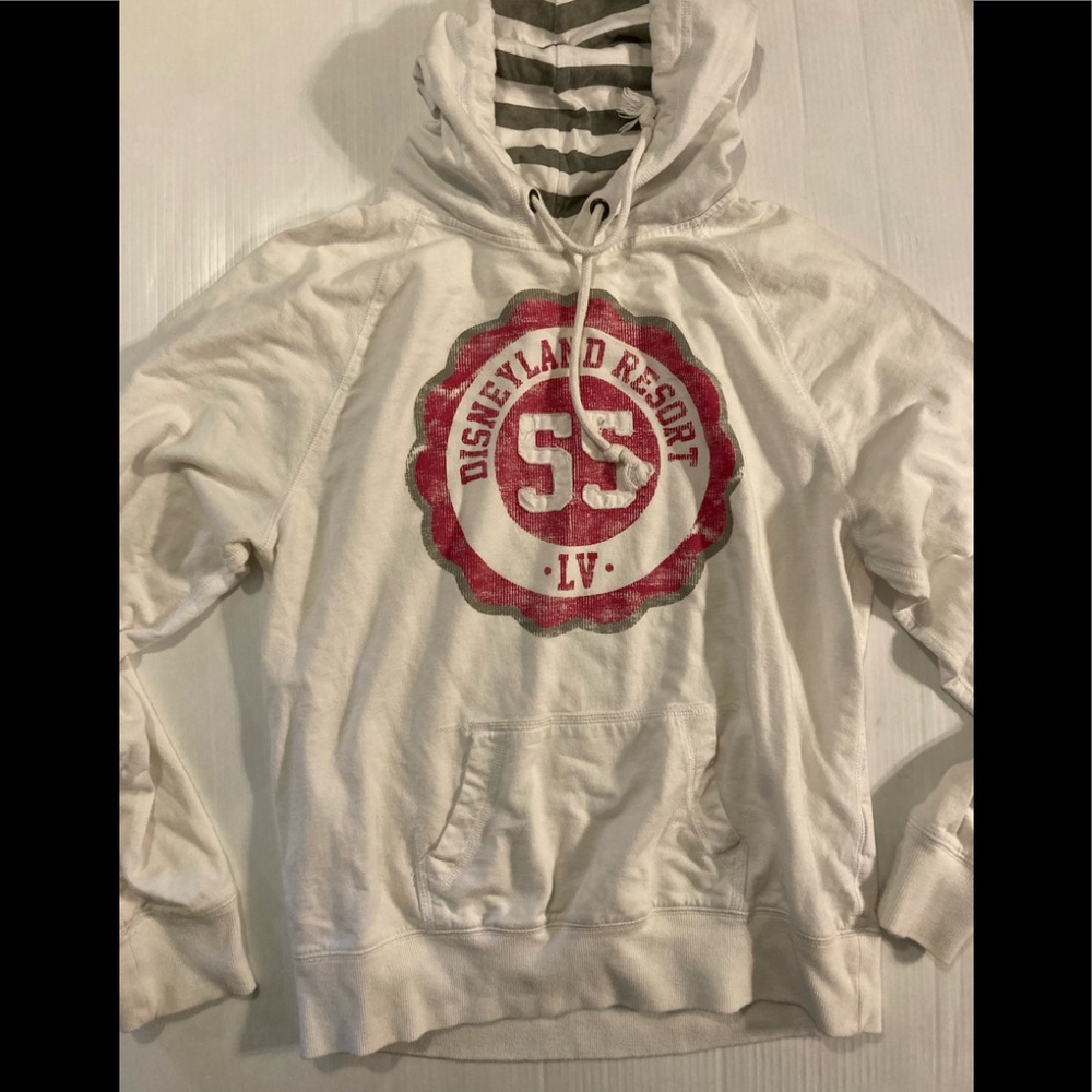 Disneyland Resort hoodie